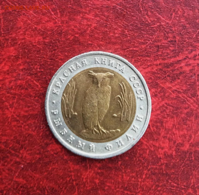 5 рублей Красная книга Филин  1991г    до 30.11.25г - IMG_7979.JPG