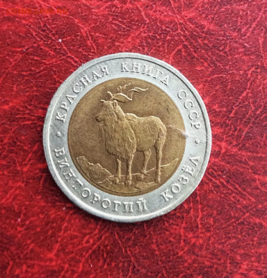 5 рублей Красная книга Козел  1991г    до 30.11.25г - IMG_7982.JPG