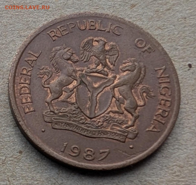 Нигерия 1 кобо 1987 ФИКС до 03.12 - PXL_20251116_084254838~3