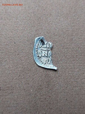 удельная чешуя - image (10)