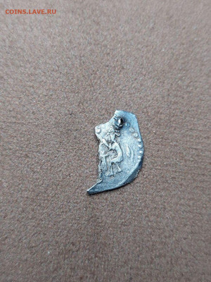 удельная чешуя - image (9)