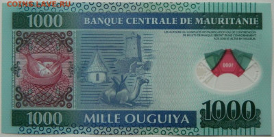 Мавритания 1000 угий 2014 г.(Полимер) С рубля! до 04.12.25 - DSCN9078.JPG