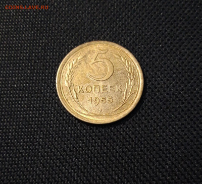 СССР 5 копеек 1955 года До 06.12 - 20250324_204613