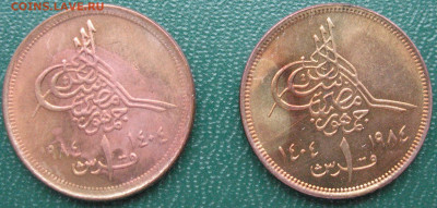 2 монеты Египет 1 пиастр 1984 до 03.12.2025 - 2_мон_1 пиастр 1984_1