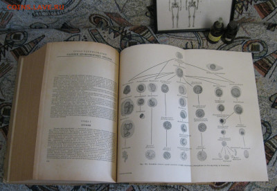 Музейчик лечебного дела - IMG_2316.JPG