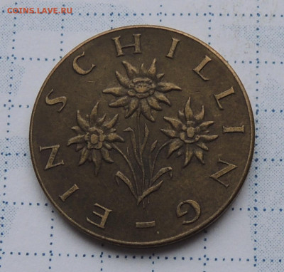 Австрия 1 шиллинг 1961 до 3.12.2025 - Австрия 1 шиллинг 1961 .JPG