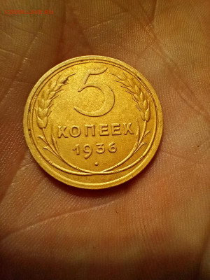 5коп 1936 до 2.12 2025 22-00 - IMG20251130165224