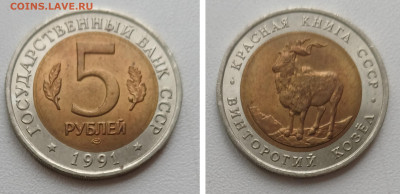 5 рублей 1991 ВИНТОРОГИЙ КОЗЁЛ до 06.12.25 в 22.00 - GridArt_20251201_132420772