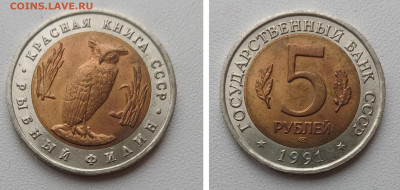 5 рублей 1991 РЫБНЫЙ ФИЛИН до 06.12.25 в 22.00 - GridArt_20251201_141934807[1]