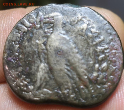 Предмет, похожий на монету Птолемея Филометора. - 3