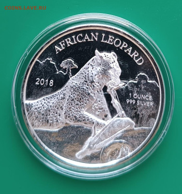 5 седи Африканский леопард, Гана, до 07.12. - 1764609202294