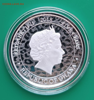 5 седи Африканский леопард, Гана, до 07.12. - 1764609202281