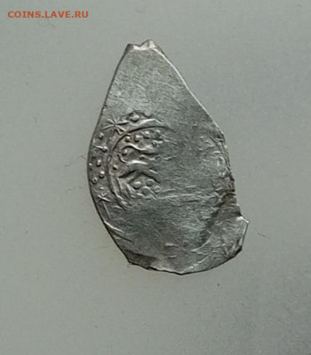 Удельная монетка - IMG_20251113_102443_550