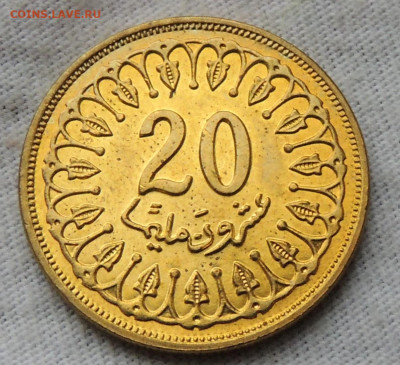 Тунис 20 миллимов 1996 до 7.12.2025 - Тунис 20 миллимов 96.JPG