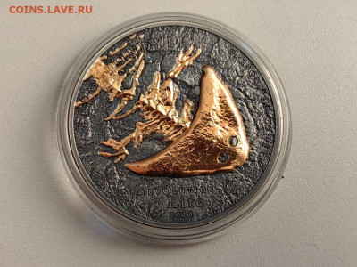 Монголия 500тугр 2020 Эволюция жизни. Диплокаулус Ag999 - Ю Эволюция 2020 Диплокаус-2