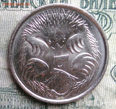 Австралия 5 центов 2016 года до 08.12.2025 - IMG_20251201_225537