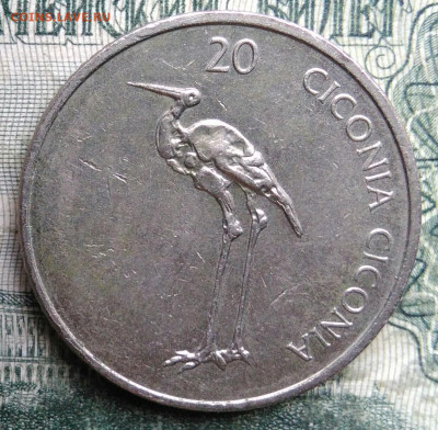 Словения 20 толаров 2006 года до 08.12.2025 - IMG_20251201_225911