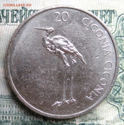 Словения 20 толаров 2005 года до 08.12.2025 - IMG_20251201_225808