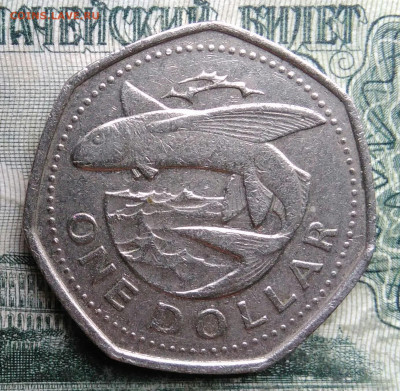 Барбадос 1 доллар 2000 года до 08.12.2025 - IMG_20251201_231235