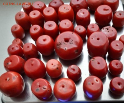 Куплю старые Кораллы - Screenshot_2025-12-02-19-49-23-727_com.vkontakte.android-edit