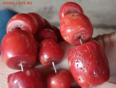 Куплю старые Кораллы - Screenshot_2025-12-01-08-54-26-031_com.miui.gallery-edit