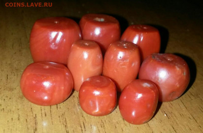 Куплю старые Кораллы - IMG-20231104-WA0216