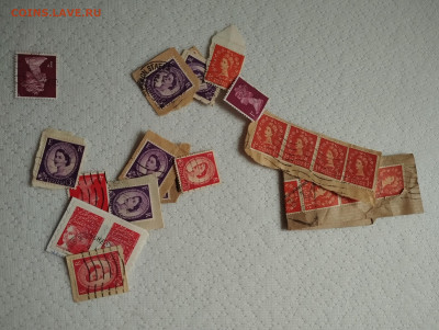 марки разный - IMG_20251201_101301