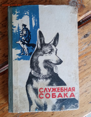 Новая распродажа книг 3 по 25р до 09.12.25 в 22:00 по мск - IMG_20251203_140842