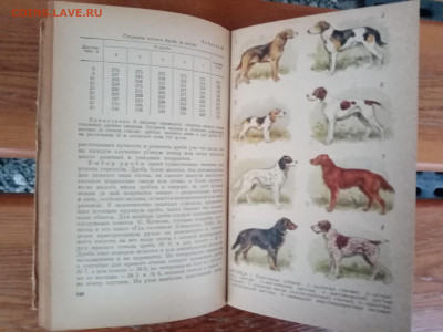 Книги по 50р до 09.12.25 в 22:00 по мск - IMG_20251203_162248