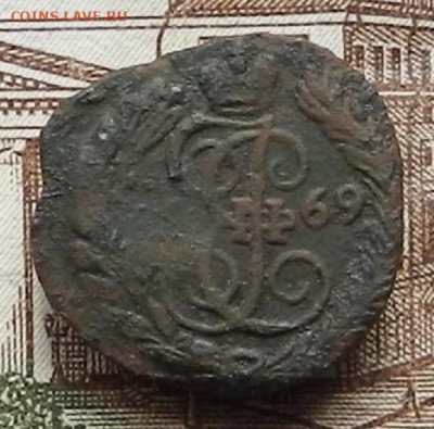 Полушка 1769 ЕМ до 07.12 в 22.00	Сообщение - DSCN6535.JPG