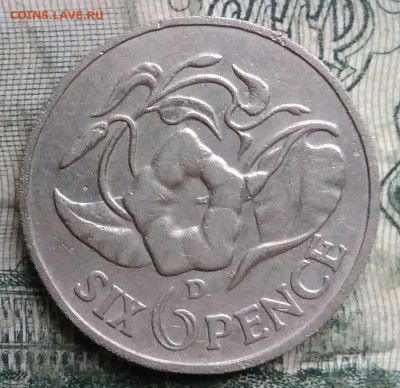Замбия 6 пенсов 1964 года до 08.12.2025 - IMG_20251203_220947