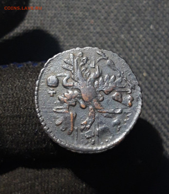 Анна Иоанновна Полушка 1730 года ПЕРЕЧЕКАН До 11.12 - 20251204_222150