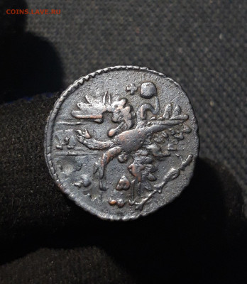 Анна Иоанновна Полушка 1730 года ПЕРЕЧЕКАН До 11.12 - 20251204_222124