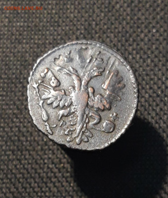 Анна Иоанновна Полушка 1730 года ПЕРЕЧЕКАН До 11.12 - 20251204_221850