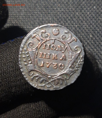 Анна Иоанновна Полушка 1730 года ПЕРЕЧЕКАН До 11.12 - 20251204_222024