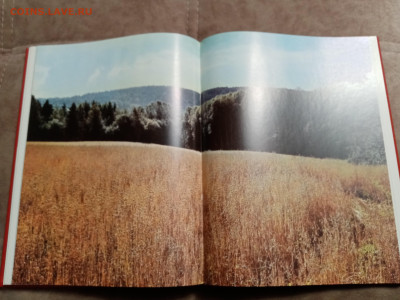 Книги по 100р до 11.12.25 в 22:00 по мск - IMG_20251205_211018