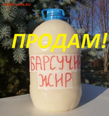 БАРСУЧИЙ ЖИР от ОХОТНИКА,осень 2025г. - 2 — копия (2)