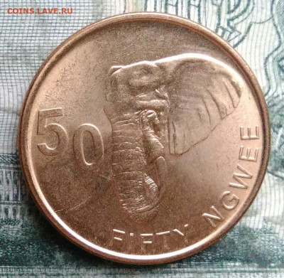 Замбия 50 нгве 2024 года до 08.12.2025 - IMG_20251206_052144