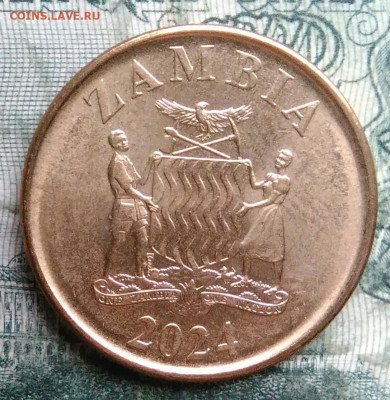 Замбия 50 нгве 2024 года до 08.12.2025 - IMG_20251206_052200