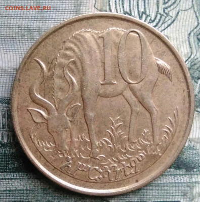 Эфиопия 10 центов 1977 года до 08.12.2025 - IMG_20251206_045521