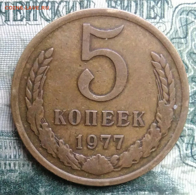 5 копеек 1977 года до 08.12.2025 - IMG_20251206_055629