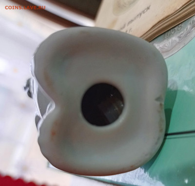 Неопознанный медведь - 1765011361059