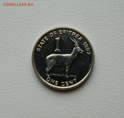 Эритрея 1 цент 1997 г.(Фауна) С рубля! до 15.12.25 - DSCN9685.JPG