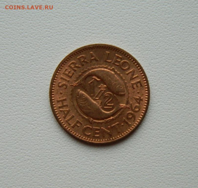 2 цента 1964 г. (Рыбы) С рубля! до 15.12.25 - DSCN9672.JPG