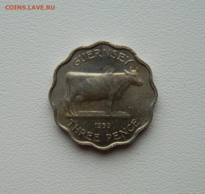 Гернси 3 пенса 1959 г. (Фауна)  С рубля! до 15.12.25 - DSCN9670.JPG