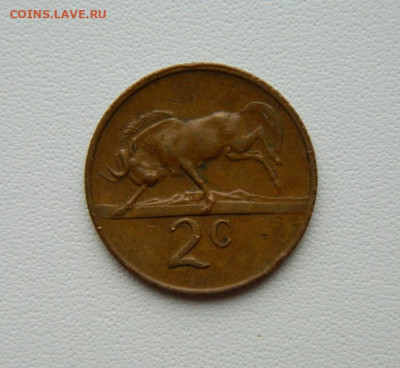 Южная Африка 2 цента 1980 г. (Фауна) С рубля! до 15.12.25 - DSCN9654.JPG