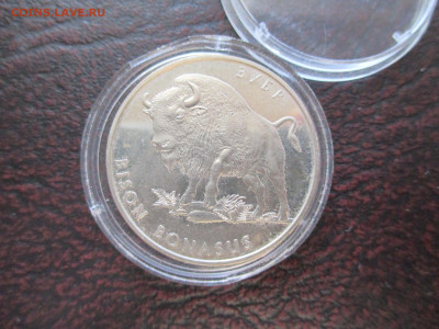 Украина зубр 2 гривны - IMG_0039.JPG