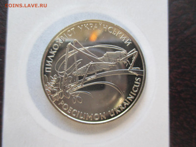 Кузнечик 2 гривны 2006 - IMG_0064.JPG