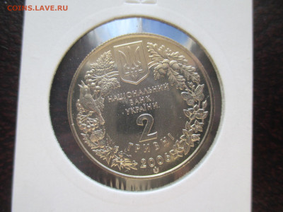 Кузнечик 2 гривны 2006 - IMG_0067.JPG