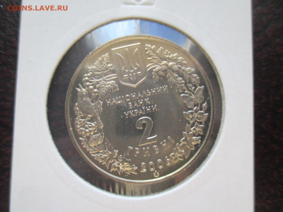 Кузнечик 2 гривны 2006 - IMG_0069.JPG